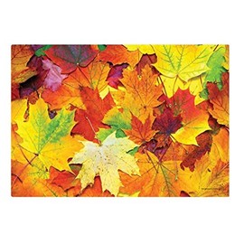 Autumn Days Paper Placemats - 9.75in. X 14in. - Leaves Design - 50 Pack