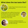 Premium GT Herbs & Fruits - Linden Tea 20 Tea