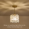 Poemoon Gold Glass Pendant Light 1-Pack Modern Flower Small Ceiling