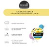 Boldair – Gel Distruggidocumenti odori Limone