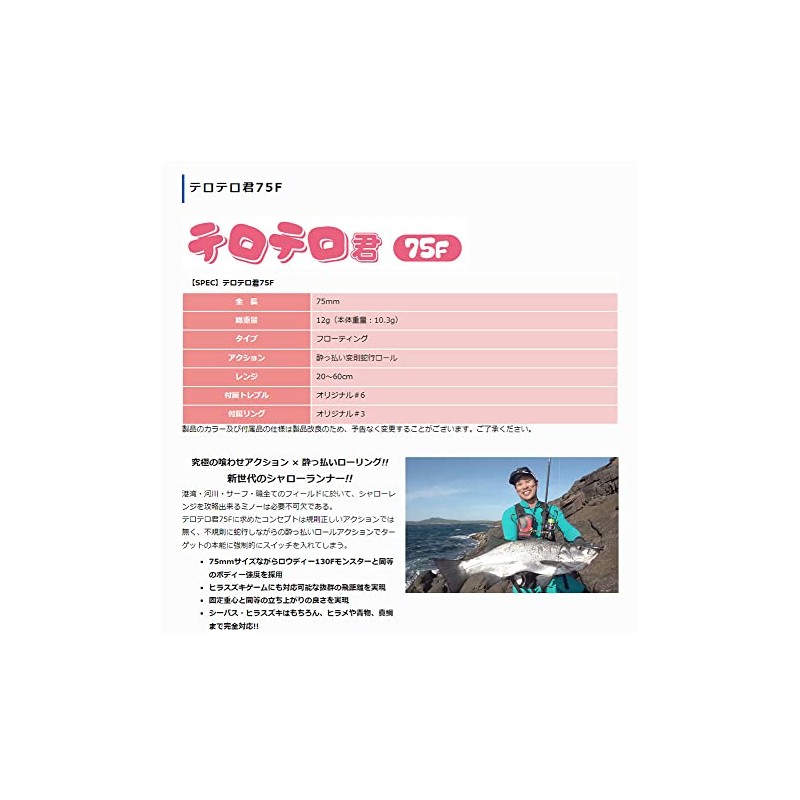JUMPRIZE (ジャンプライズ) Tero-Tero-kun 75F, #04 See-Through Night SP, 75mm /