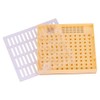 Queen Rearing Cup Kit Bee Cultivating Tool Plastic Beekeeping Box
