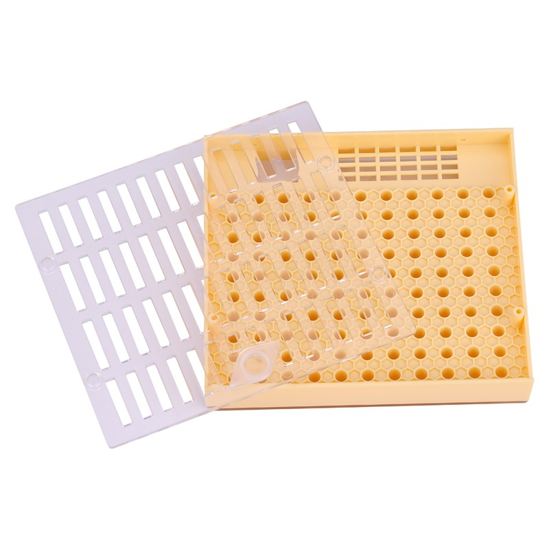Queen Rearing Cup Kit Bee Cultivating Tool Plastic Beekeeping Box