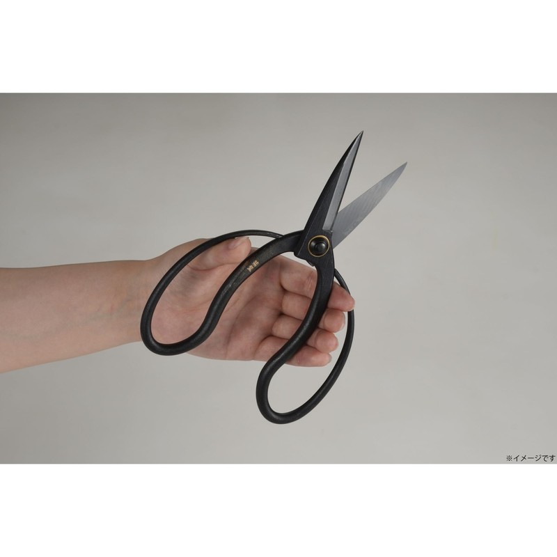 Takagi Kikudo Long Blade Okyuho Shears, Steel Included, 7.9 inches
