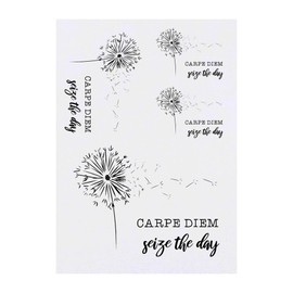 4 x 'Carpe Diem: Seize The Day' Temporary Tattoos - Water Resistant, Skin-Safe, Non-Toxic Transfers, Mixed Sizes (TO00084024)