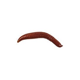 Gulp! Floating Pinched Crawler Soft Bait - Nightcrawler - 1in | 3cm - Panfish