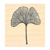 P129 Ginkgo Biloba Leaf Rubber Stamp