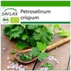 SAFLAX - Organic - Plain Leaved Parsley - 600 Seeds