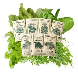 Asian Salad Garden Seed Assortment – 7 Varieties of Asian Greens – Chinese Cabbage, Mizuna, Mustard, Tatsoi, Daikon Sprouts – Non-GMO, Heirloom – Stir-Fry & Salad Mix