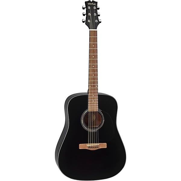 D120 Dreadnought Acoustic Guitar (D120BLK)
