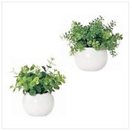 Cute Round Photocatalyst Houseplant