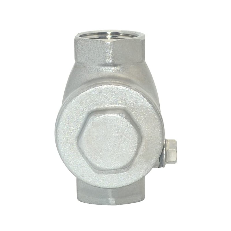VARMHUS Stainless Steel SS316 Swing Check Valve,NPT Female x Female