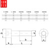 Pack of 20 Cylindrical Screws M5 x 40 mm DIN