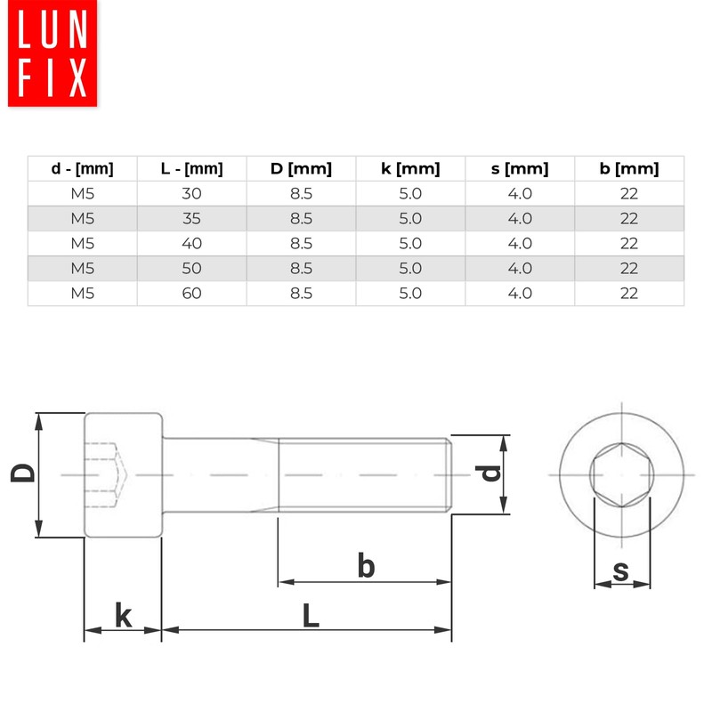 Pack of 20 Cylindrical Screws M5 x 40 mm DIN