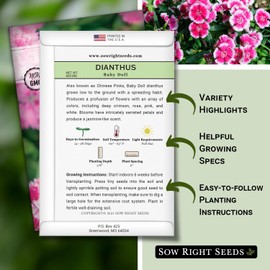 Sow Right Seeds - Dianthus Baby Doll Flower Seeds for Planting - Sweet William Ornamentals - Non-GMO Heirloom Packet to Plant a Home Flower Garden - Rare and Fragrant Blooms to Attract Pollinators (1)