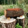 Wooden Trunk with Pot, Real Wood Trunk with Plastic Inner