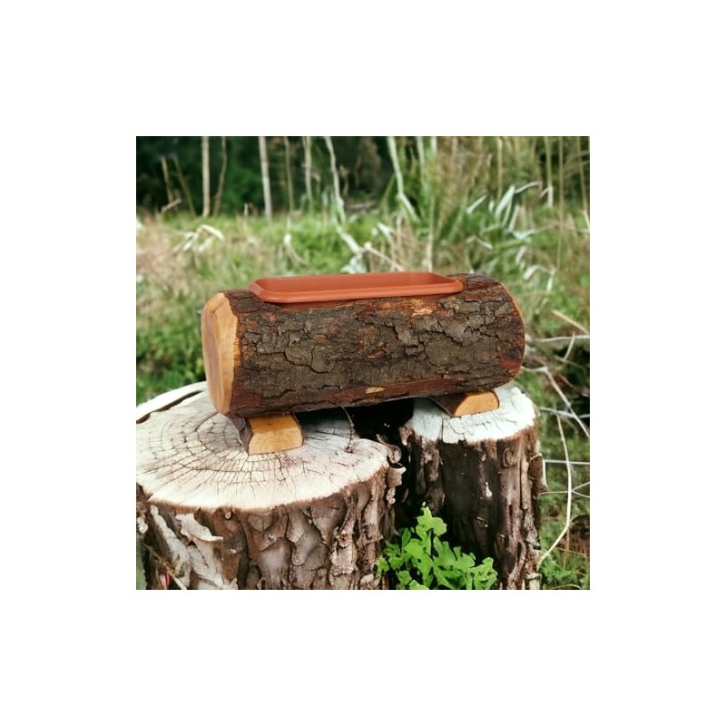 Wooden Trunk with Pot, Real Wood Trunk with Plastic Inner