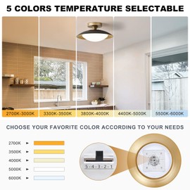 YURNYQ Dimmable Black and Gold Flush Mount Ceiling Light Modern Semi LED Ceiling Light 5CCT 2700 K-6000 K Light Fxiture Mid Century Ceiling Light for Hallway Bedroom Kitchen Laundry Room 11.8 in