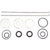 APUK Power steering Ram Seal Kit Replacement for Case International