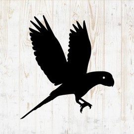 Birds Decals Peel and Stick - Wall Vinyl Decals Stickers - Wild Birds Flying Sparrow Flock Parrot Pigeon Raven Duck Goose Silhouette - Car Window Truck Laptop Tumbler - Nursery Room Decor DWSV14368