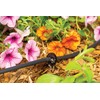 Rain Bird ILD1010PKXS Drip Irrigation in-Line Dripper/Emitter, 1 Gallon Per