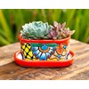 ENCHANTED TALAVERA Ceramic Succulent Pot Mini Flower Planter Cactus Bonsai