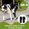 hoeslaw Dog Leg Braces for Rear Leg, Adjustable Dog Leg