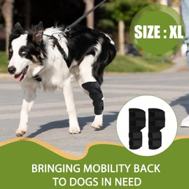 hoeslaw Dog Leg Braces for Rear Leg, Adjustable Dog Leg Sleeve Added Mobility Safety for Active Aging Dogs, Knee Support Straps for Outdoor Adventures Daliy Use Enhanced Stability (XL)