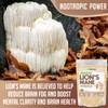XPRS Nutra Organic Lion's Mane Powder - Premium Lions Mane