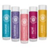 5 Pack Bálsamo Labial Dr. Akermans Frutas 4.5g Natural