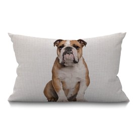 BGBDEIA Bulldog Cushion Cover English Bulldog Sitting Against White Background Cotton Linen Decorative Rectangular Throw Pillow Cover Pillowcase for Sofa and Bed Couch 12"X20" 30 x 50 cm
