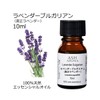 ASH Lavender Bulgarian (Genuine Lavender) Essential Oil 10ml Boxed Aroma