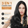 Shampoo Tinte Instantáneo Cubre Canas 3en1 Natural Jengibre