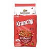 Krunchy Strawberry 1 x 700 g