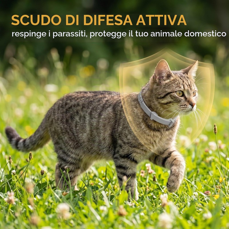 2 Collare Antipulci per Gatti, Collare Antiparassitario Sicuro ed Efficace,