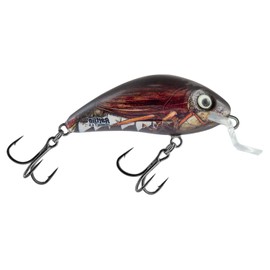 Salmo Rattlin Hornet Shallow 3.5 cm 3g - Floating Wobbler, Salmo Colours: Real Cockchafer