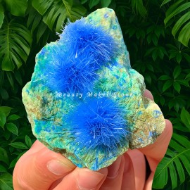 50-80G Rare Dandelion zeolite Quartz Crystal Cluster Mineral Rock Specimen Decor