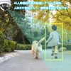 KPACOT Security Camera, Outdoor, Wireless IP Camera, 2 Megapixels, Poe