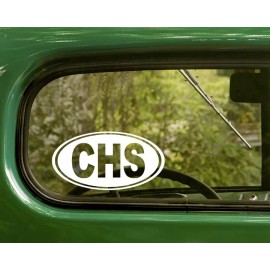 Oracal CHS Charleston Decal Sticker South Carolina, 2 Oval for Travel Mug, Car, Laptop
