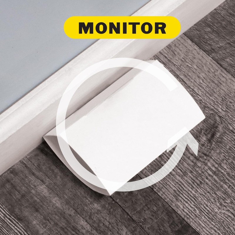 PIC GPT-4 Glue Pest Trap for Spider and Snake, 4-Pack