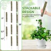 Fabulas 55 Inch Moss Pole Monstera Plant Support, 4 Pack