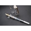 czxwyst 659 Double Nibs Fountain Pen (Transparent with Golden Clip)