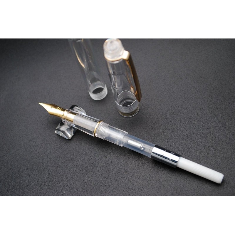 czxwyst 659 Double Nibs Fountain Pen (Transparent with Golden Clip)