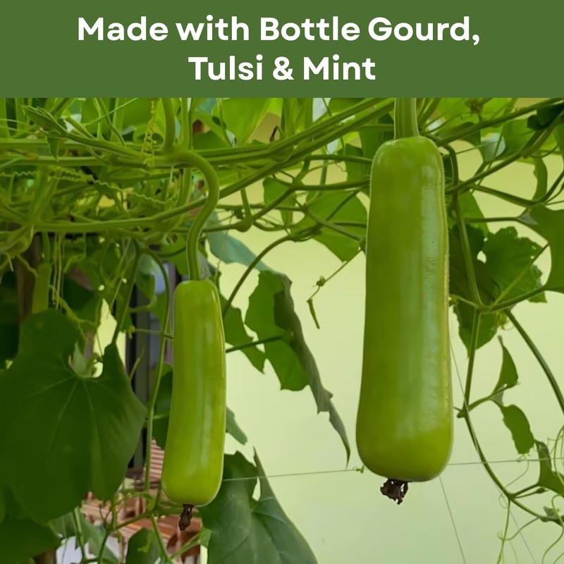 Basic Ayurveda Bottle Gourd Juice – 16.23 Fl Oz (480ml)