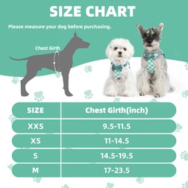 PUPTECK Dog Harness and Leash Set Small Sized, Step-in Cute Puppy Harness, Soft Lightweight Padded Vest, Escape Proof No Pull Pet Harnesses Easy for Walking, Plaid Green & White, XXS