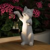 mikilov Cat Resin Statue with Solar Lantern (Hand) - Outdoor