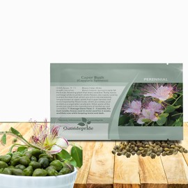Outsidepride Caper Bush Seeds - 100 Pcs. Perennial, Low Maintenance, Herb Seeds for Planting Edible Fleshy Leaves & Large Pinkish-White Blooms for Culinary Use & Pollinator Gardens