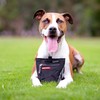 EzyDog Snakpak Treat Bag, Black