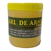Gel De Arnica Anti Inflamatorio Dolores Musculares 240gr