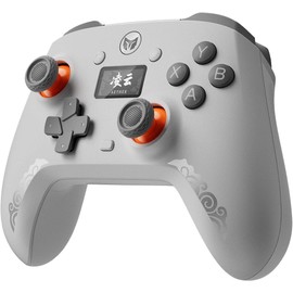 BIGBIG WON Wireless Gaming Controller with LCD Display – Hall Effect Joystick & Triggers, 1000Hz Polling Rate, PC/Switch/Android/iOS Compatible, Dual Back Buttons, Turbo, HD Rumble, Wired/Bluetooth/2.4G AETHER Wireless Gamepad